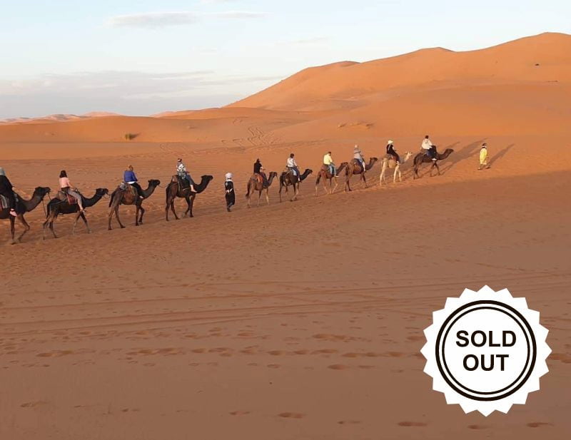 Sahara-desert-camel-safari