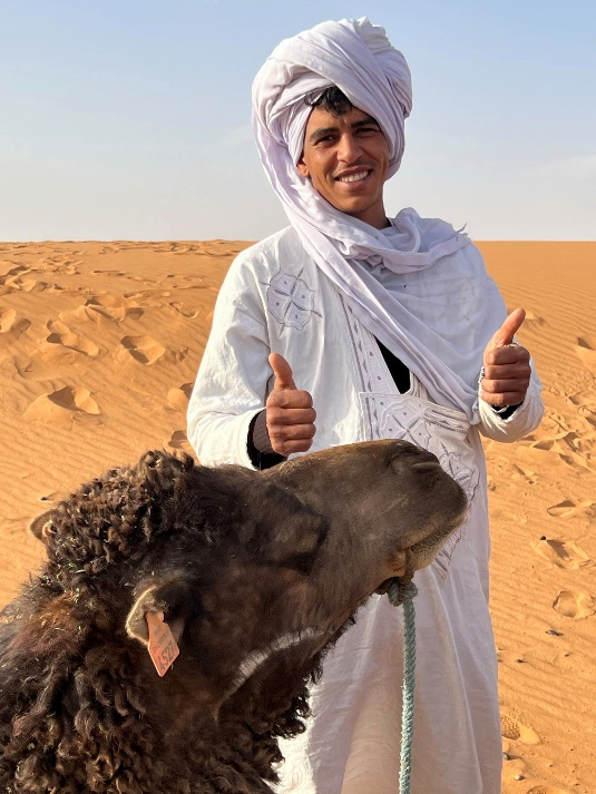 man and camel in the desert
